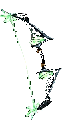 Exc Albatross Bow
